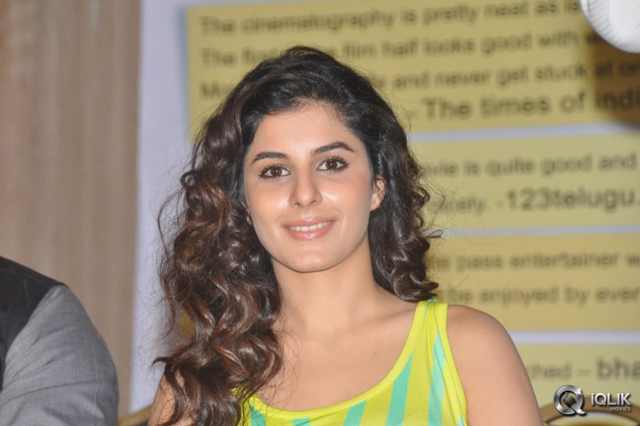 Maine-Pyar-Kiya-Movie-Success-Meet